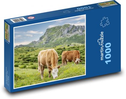 Krowy pasące się - bydło, łąka - Puzzle 1000 elementów, rozmiar 60x46 cm