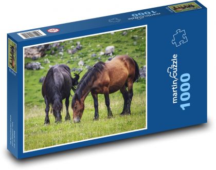 Koně na pastvě - louka, příroda - Puzzle 1000 dílků, rozměr 60x46 cm