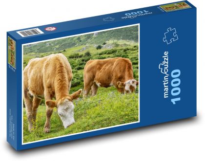 Hnědé krávy - hospodářská zvířata, pastvina - Puzzle 1000 dílků, rozměr 60x46 cm