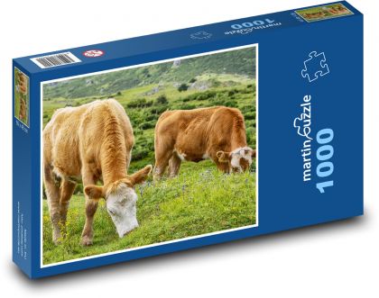 Brown cows - livestock, pasture - Puzzle 1000 pieces, size 60x46 cm 