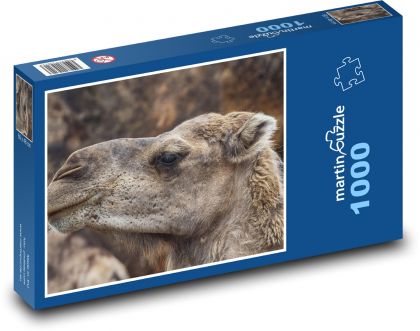 Hlava velblouda - zvíře, savec - puzzle 1000 dílků