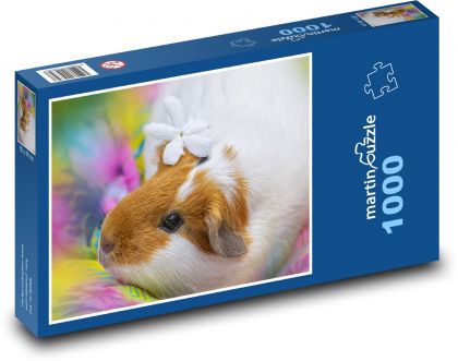 Morče - domácí mazlíček, hlodavec - puzzle 1000 dílků