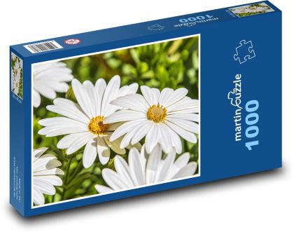 Okvetné lístky - margaréta, kvet - Puzzle 1000 dielikov, rozmer 60x46 cm