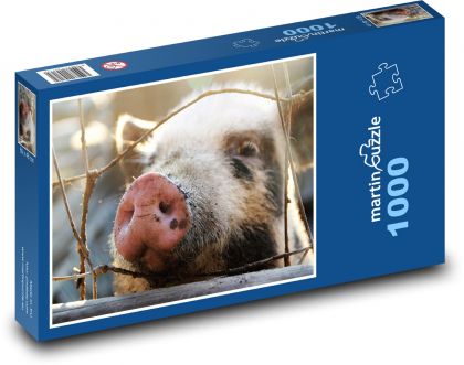 Schwein - Schwein - Schwein - Puzzle - 1000 Teile