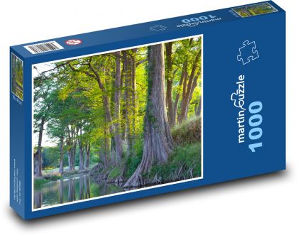 Drzewo - korzenie, rzeka - Puzzle 1000 elementów, rozmiar 60x46 cm