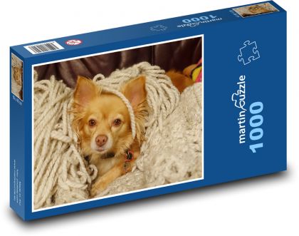 Roztomilý pes - mazlíček - Puzzle 1000 dílků, rozměr 60x46 cm