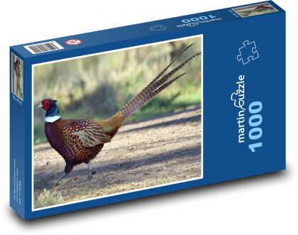 Divoká zvěř - bažant - puzzle 1000 dílků