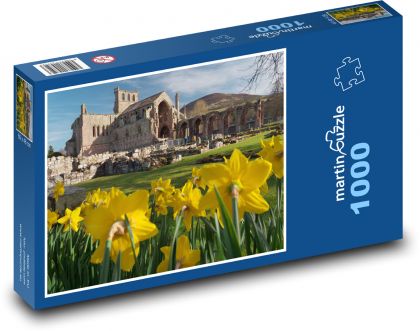 Szkocja - kościół - ruiny - Puzzle 1000 elementów, rozmiar 60x46 cm