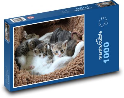 Mačiatko - mačiatka v pelechu - Puzzle 1000 dielikov, rozmer 60x46 cm