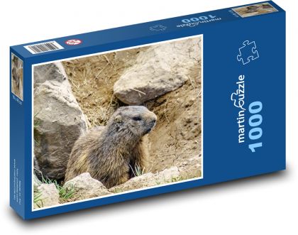 Alpy - Svišť - hlodavec - Puzzle 1000 dílků, rozměr 60x46 cm