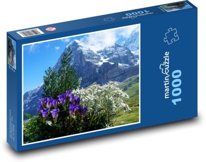 Květiny - hory, Alpy - Puzzle 1000 dílků, rozměr 60x46 cm