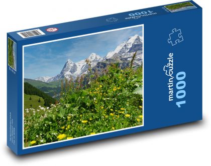 Příroda - květiny, hory - Puzzle 1000 dílků, rozměr 60x46 cm