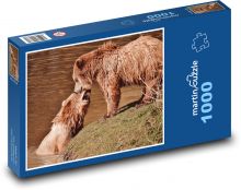 Niedźwiedź brunatny - dzikie zwierzę Puzzle 1000 elementów - 60x46 cm