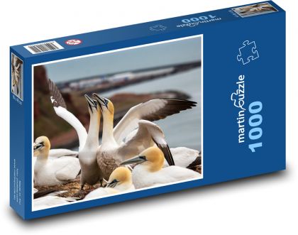 Morské vtáky - Puzzle 1000 dielikov, rozmer 60x46 cm