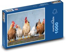 Haushuhn - Henne Puzzle 1000 Teile - 60 x 46 cm
