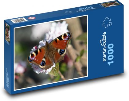 Motýl - hmyz - Puzzle 1000 dílků, rozměr 60x46 cm