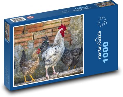 Kura - kogut, zwierzęta domowe - Puzzle 1000 elementów, rozmiar 60x46 cm