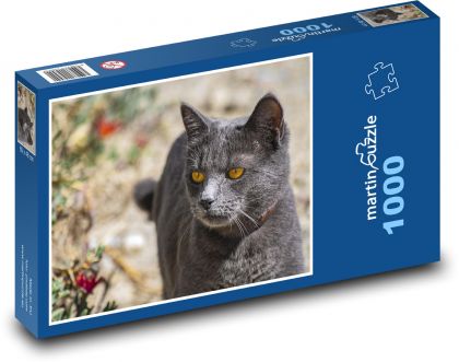 Čierna mačka - domáci maznáčik, zviera - Puzzle 1000 dielikov, rozmer 60x46 cm