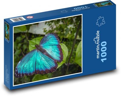 Błękitny motyl - owad, roślina - Puzzle 1000 elementów, rozmiar 60x46 cm