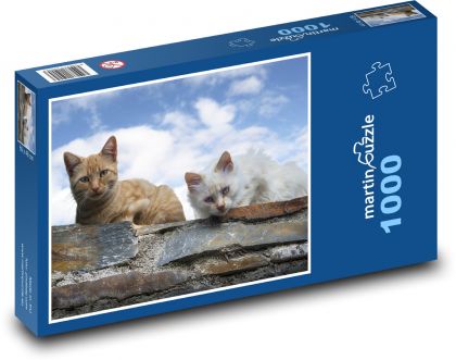 Mačky - domáci miláčikovia, zvieratá - Puzzle 1000 dielikov, rozmer 60x46 cm