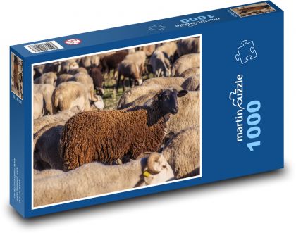 Stado owiec - zwierzęta gospodarskie, bydło - Puzzle 1000 elementów, rozmiar 60x46 cm