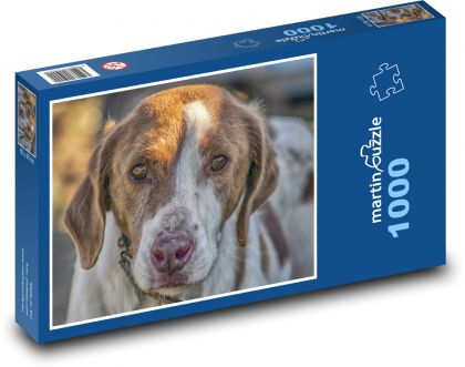Lovecký pes - zviera, domáci maznáčik - Puzzle 1000 dielikov, rozmer 60x46 cm