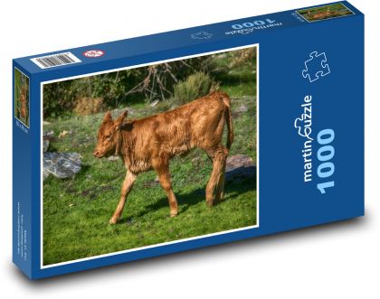 Cielę - roślina, pole - Puzzle 1000 elementów, rozmiar 60x46 cm