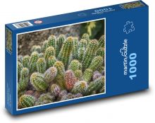 Kaktusy - natura, roślina Puzzle 1000 elementów - 60x46 cm
