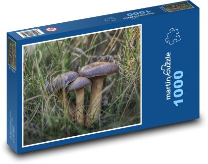 Houby - bylina, pole - Puzzle 1000 dílků, rozměr 60x46 cm