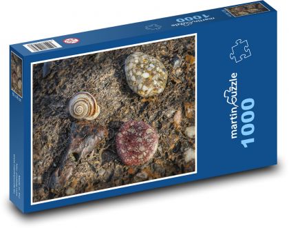 Schnecke - Strand, Stein - Puzzle - 1000 Teile