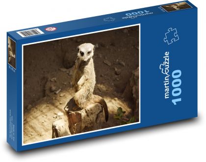 Surikata - zvíře, hlodavec - puzzle 1000 dílků