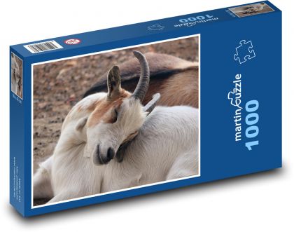 Koza - domácí zvíře, farma - Puzzle 1000 dílků, rozměr 60x46 cm