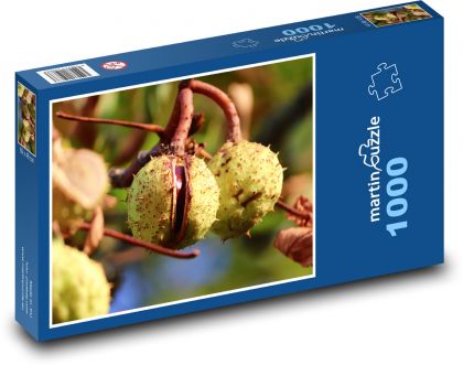 Kaštan - strom, větev - Puzzle 1000 dílků, rozměr 60x46 cm
