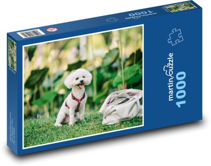 Roztomilé štěně - pudl, pes - Puzzle 1000 dílků, rozměr 60x46 cm