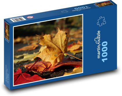 Autumn - dried leaves, nature - Puzzle 1000 pieces, size 60x46 cm 