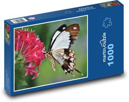 Motýľ - kvetina, opelenie - Puzzle 1000 dielikov, rozmer 60x46 cm