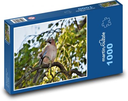 Sojka - pták, zvíře - Puzzle 1000 dílků, rozměr 60x46 cm