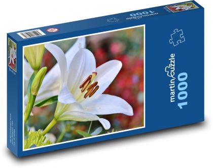 Bílá lilie - květina, zahrada - Puzzle 1000 dílků, rozměr 60x46 cm