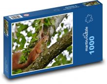 Veverka - strom, zvíře Puzzle 1000 dílků - 60 x 46 cm