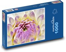 Květ jiřiny - rostlina, růžový květ Puzzle 1000 dílků - 60 x 46 cm