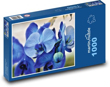 Modrá orchidej - květy, rostlina - Puzzle 1000 dílků, rozměr 60x46 cm