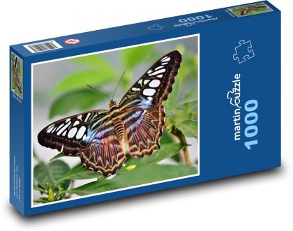 Motýľ - hmyz, krídla - Puzzle 1000 dielikov, rozmer 60x46 cm