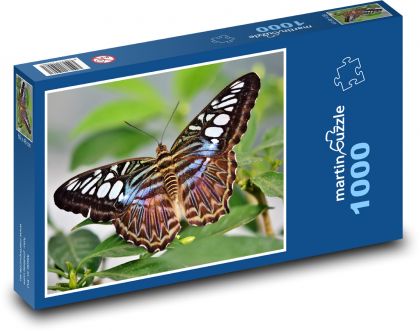 Motyl - owad, skrzydła - Puzzle 1000 elementów, rozmiar 60x46 cm