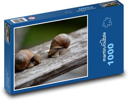 Slimáky - slimáky, mäkkýše - Puzzle 1000 dielikov, rozmer 60x46 cm