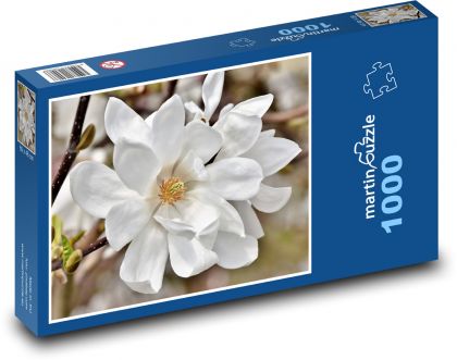 Biała magnolia - kwiat, roślina - Puzzle 1000 elementów, rozmiar 60x46 cm