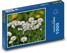 Sedmokráska - kvet, rastlina Puzzle 1000 dielikov - 60 x 46 cm