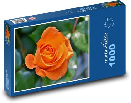 Orange Rose - Blütenblätter, Blume - Puzzle - 1000 Teile
