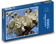 Švestkové květy - kvetoucí větev, švestka Puzzle 1000 dílků - 60 x 46 cm