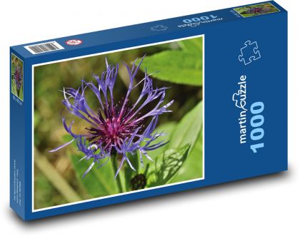 Cornflower - flower, plant - Puzzle 1000 pieces, size 60x46 cm 