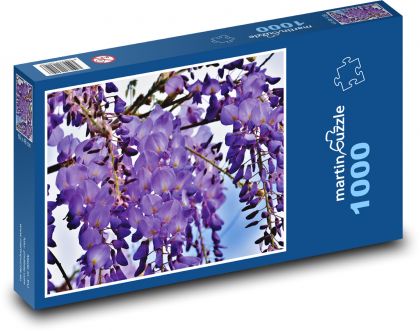 Wisteria - purple plant, flower - Puzzle 1000 pieces, size 60x46 cm 